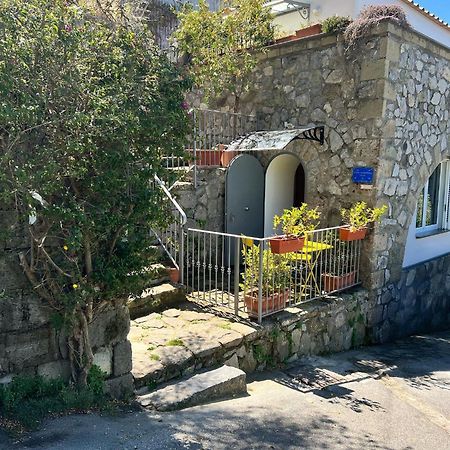 Villa Valentina Suite Massa Lubrense Eksteriør bilde