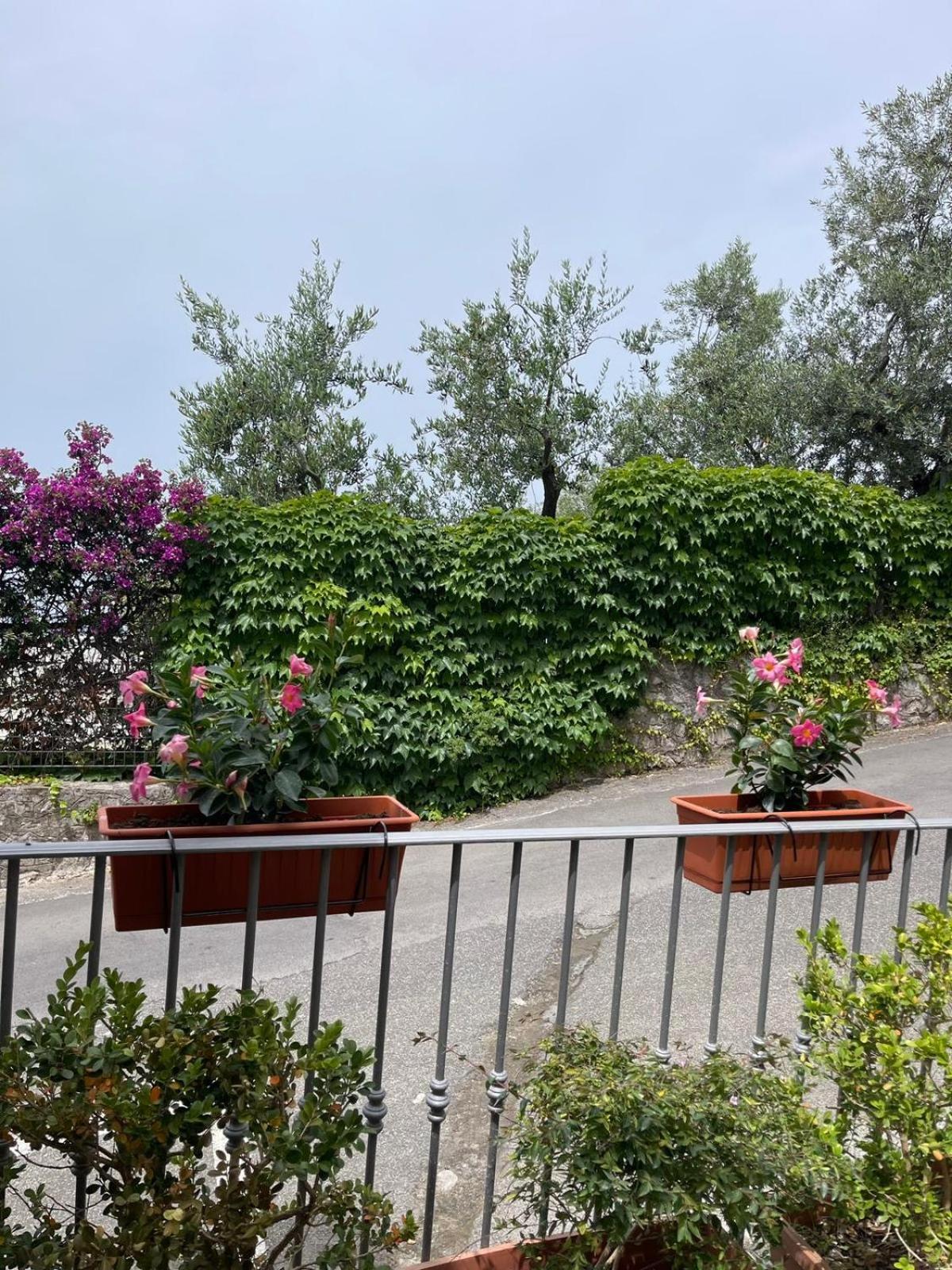 Villa Valentina Suite Massa Lubrense Eksteriør bilde